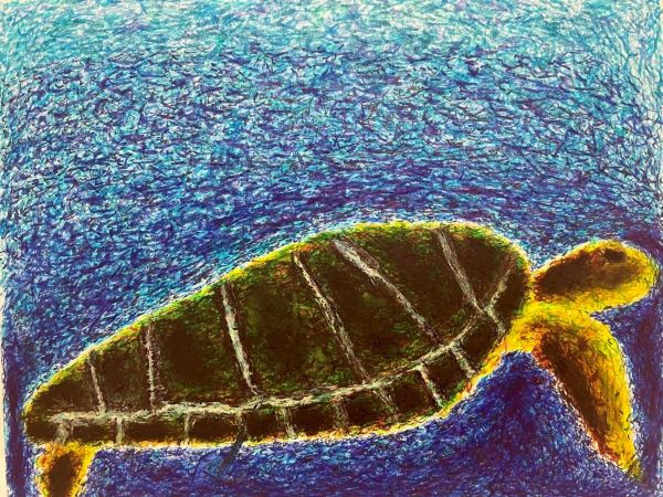 A tranquil turtle